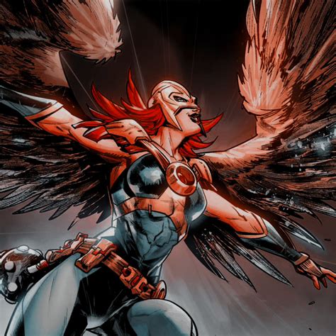 Twigs Hawkman And Hawkwoman Icons From DC Grifter