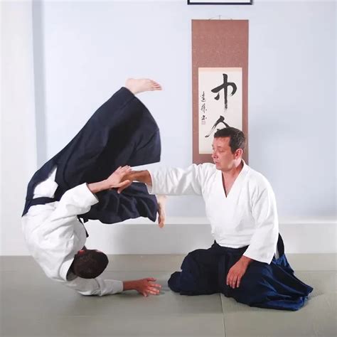 aikido articles aikido isshinkai