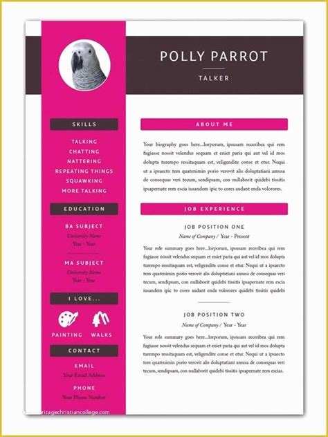 Pink Resume Template Free Of Resume Templates Cover Letters and Cv ...