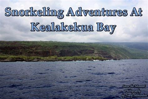 Snorkeling Adventures At Kealakekua Bay | Kealakekua bay, Snorkeling ...