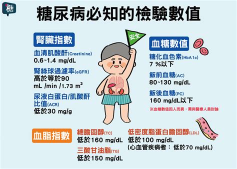 講糖 認識糖尿病 糖尿病必知的檢驗數值