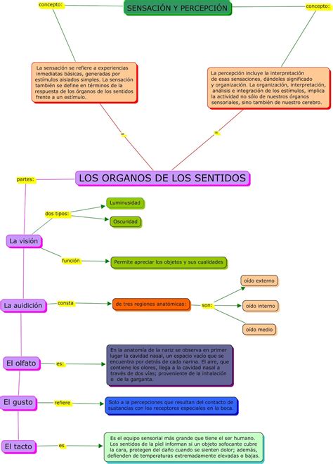 Psicologia Social Con El Lic Javier Mendieta Sensación Y Percepción