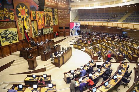 Al Menos 59 Mujeres Ocuparán Una Curul En La Nueva Asamblea Nacional