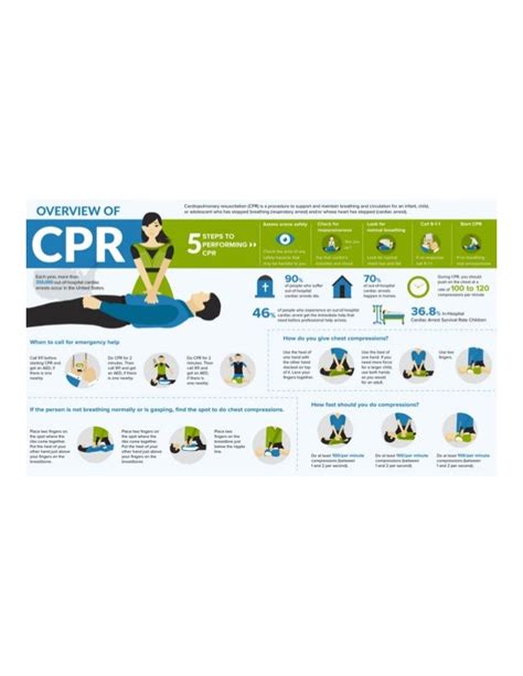 Learn The Basic Five Steps How To Perform CPR