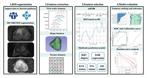 Figure 1 From Multiparametric MRI And Machine Learning Based Radiomic