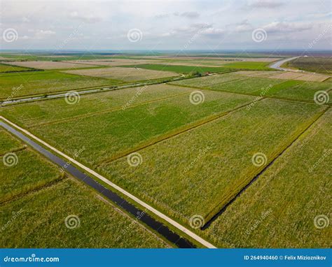 Farmland Landscape Central Florida Stock Photo - Image of aerial, green ...