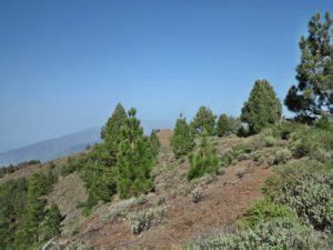 Ruta De Los Volcanes Wildnis Wandern De