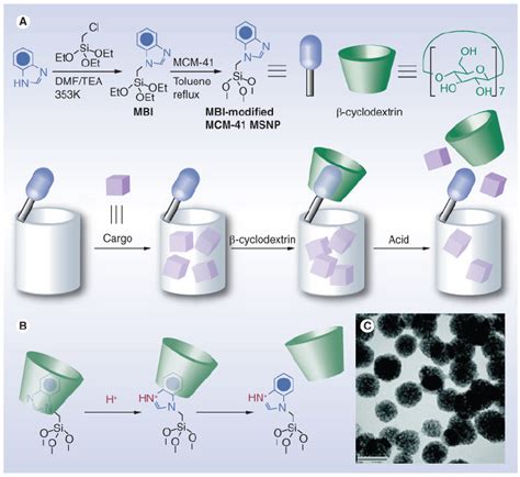 A Graphical Representation Of The Ph Responsive Mesoporous Silica