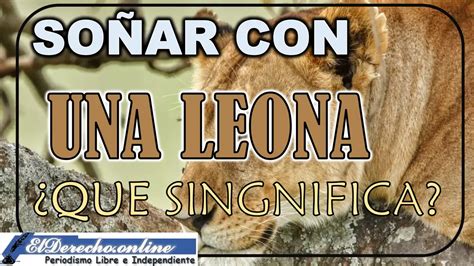 Top Imagen Que Significa So Ar Con Muchos Leones Abzlocal Mx