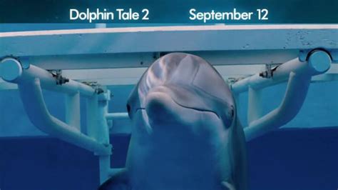 Dolphin Tale 2 TV Movie Trailer - iSpot.tv