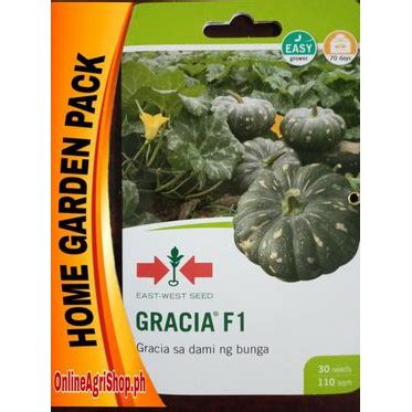 GRACIA F1 HYBRID KALABASA NA BATIK OR SQUASH SEEDS 30 SEEDS EAST WEST