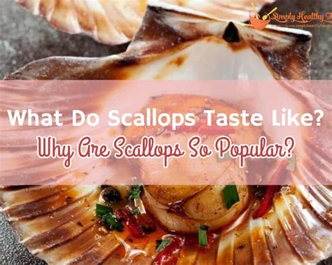 What Do Scallops Taste Like Why Are Scallops So Popular Simply