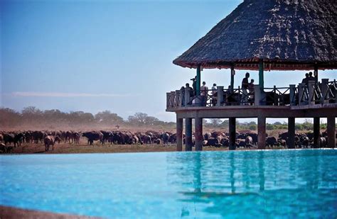 Spa Pool Voi Wildlife Lodge Voi • Holidaycheck Provinz Coast Kenia