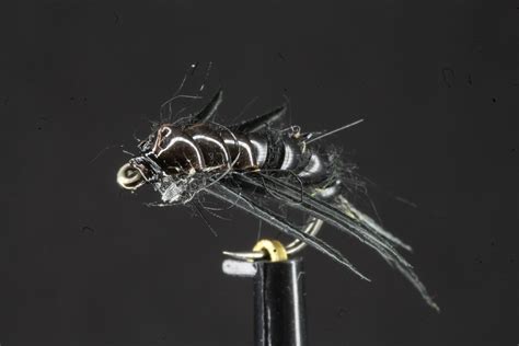 Black Stonefly Nymph Trout Flies Direct