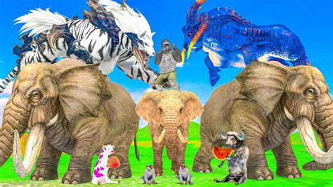 Mammoth Elephant Cow Vs Giant Tiger Lion Vs Zombie Dinosaur