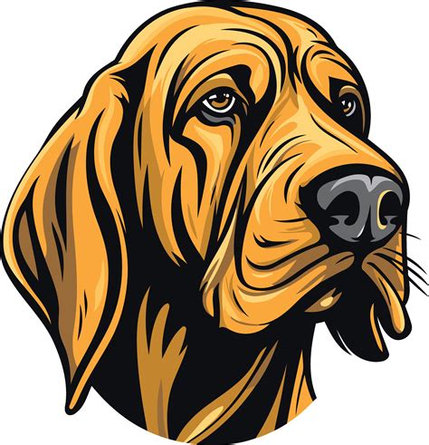 Portrait of a Brown Dog 49255703 Vector Art at Vecteezy