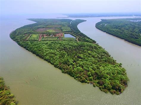 Pulau Sarinah Sidoarjo Keindahan di Tengah Kepungan Lumpur - Jawa Timur