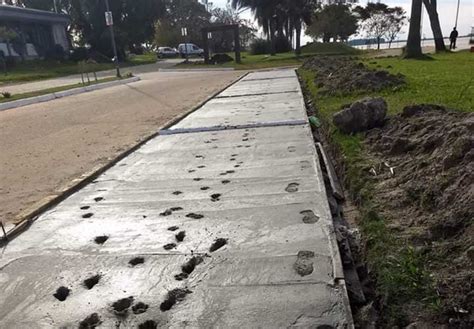 ATENCIÓN Cemento fresco NO PISAR MonteCaserosOnLine Monte