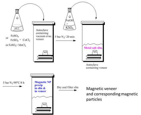 Overview Of The Process For Fabrication Of Magnetic Particle Modified