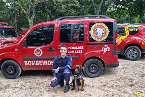 Cadela Magi De Xanxer Recebe Certifica O Nacional De C Es De Busca