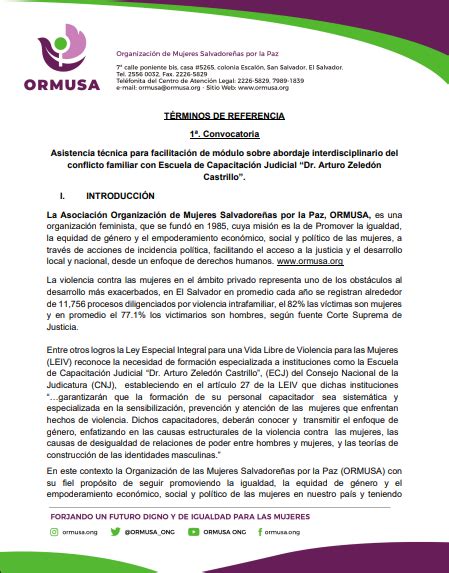 Asistencia T Cnica Para Facilitaci N De M Dulo Sobre Abordaje