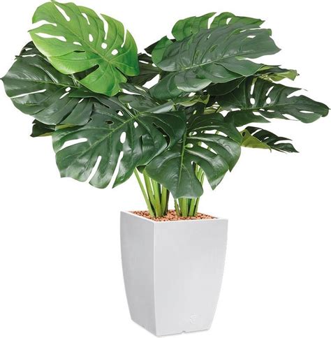 Htt Kunstplant Monstera In Genesis Vierkant Wit H Cm Bol