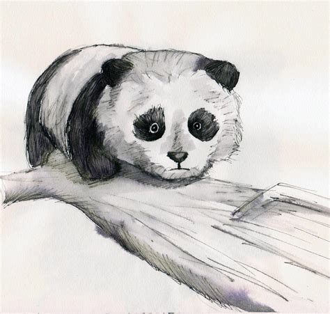 Panda sketch by destiny-love-art on DeviantArt