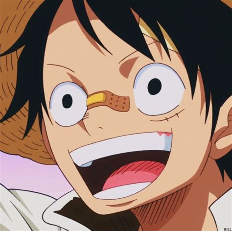 Monkey D Luffy Mang One Piece Anime One Piece