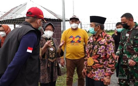 Bantu Pemulihan Psikologi Korban Gempa Sulbar Ini Langkah Kemensos