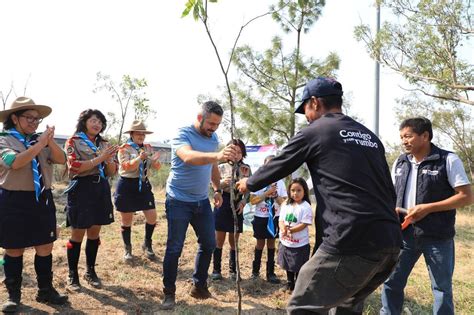 Inicia Reforestaci N Del Cerro De Amalucan