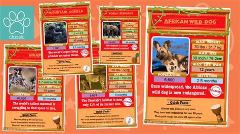 Teacher's Pet » African Animals Top Trumps Card Game