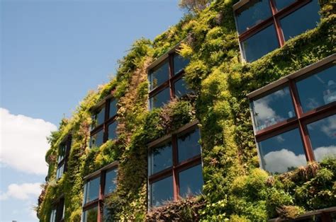 Estos son los 10 principios básicos de la arquitectura ecológica Bioguia