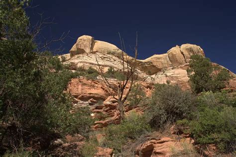 Dinosaur Fossils in Grand Staircase-Escalante National Monument - Bryce ...