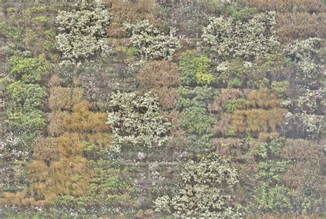 Green Wall Texture Seamless