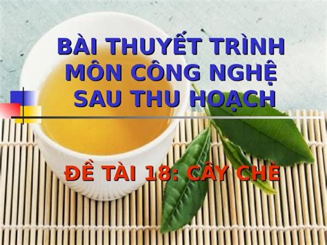 Ppt B I Thuy T Tr Nh M N C Ng Ngh Sau Thu Ho Ch Dokumen Tips