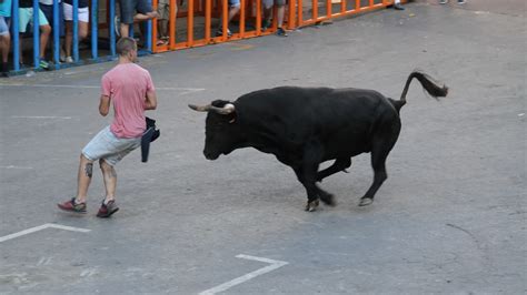 Muere un hombre tras una cogida en los festejos taurinos de La Vall d Uixó