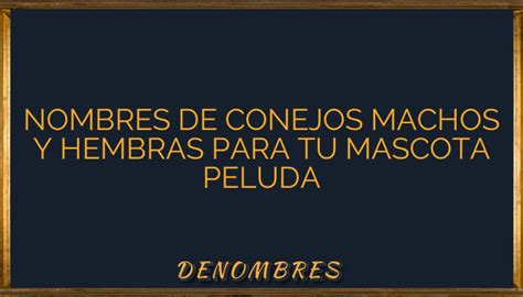 Nombres De Conejos Machos Y Hembras Para Tu Mascota Peluda Denombres Info