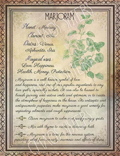 Printable Herbs Book Of Shadows Pages Set 2 Herbs Plants Etsy