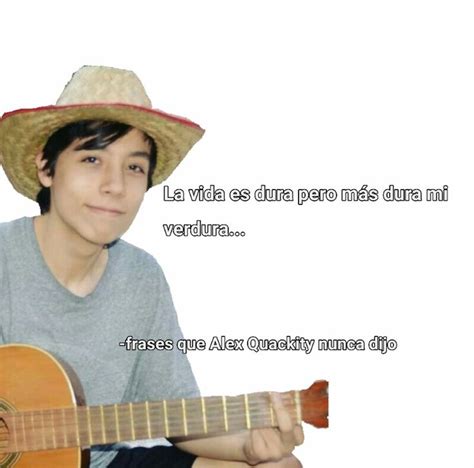 Frases Que Alex Quackity Nunca Dijo Humor De La Vida Imagenes Para