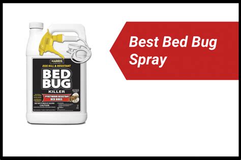 6 Best Bed Bug Sprays In 2024 [detailed Reviews]