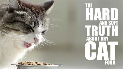 The Hard (and Soft) Truth About Dry Cat Food – Cats Universe ...