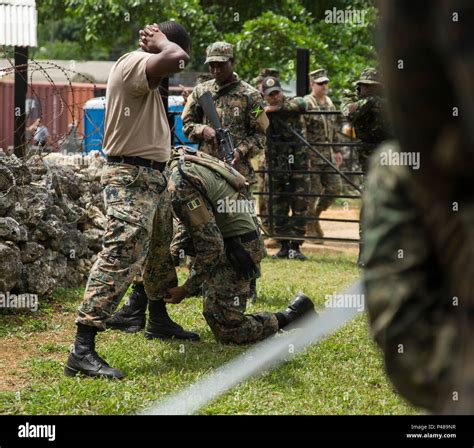 Jamaica Defence Force High Resolution Stock Photography and Images - Alamy