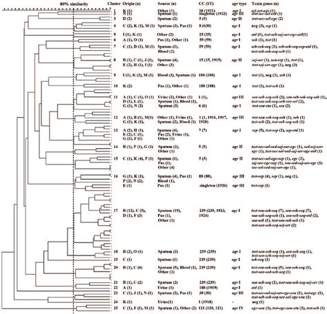 Dendrogram Of PFGE Clusters And Genotypic Relationships Of S Aureus