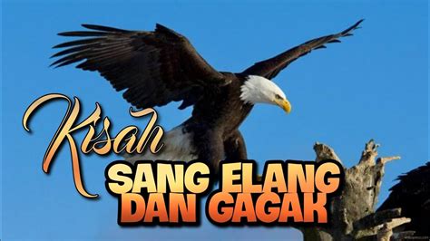 KISAH SANG ELANG DAN GAGAK Epicstories Motivasi Renungan