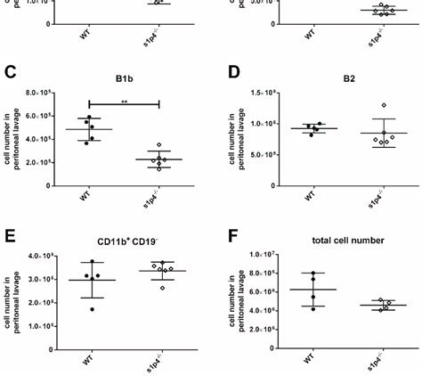 Composition Of Peritoneal B Cell Populations Peritoneal Lavage Cells