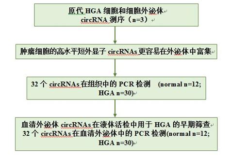 短平快10分文章的套路仅3对细胞外泌体测序 30例血清外泌体PCR