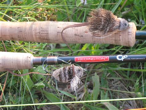 Night Fishing For Trout Fly Fishing With Large Mouse Patterns