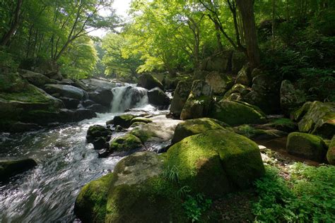 川・滝のカテゴリに関連する写真素材・ai画像素材708枚 7ページ目 ぱくたそ