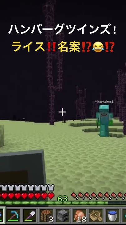 これぞ究極の名案‼️🤣小5 Minecraft マイクラ マインクラフト Minecraftshorts Shots