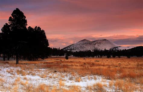 Meadow Gold Photograph by Kenan Sipilovic - Fine Art America